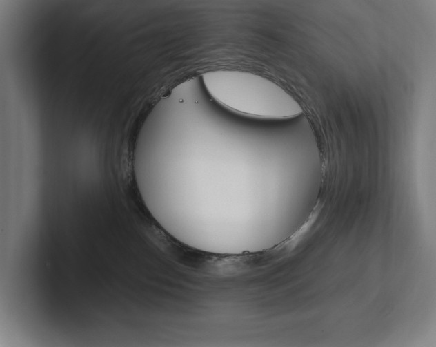 X0000102860186200808181033