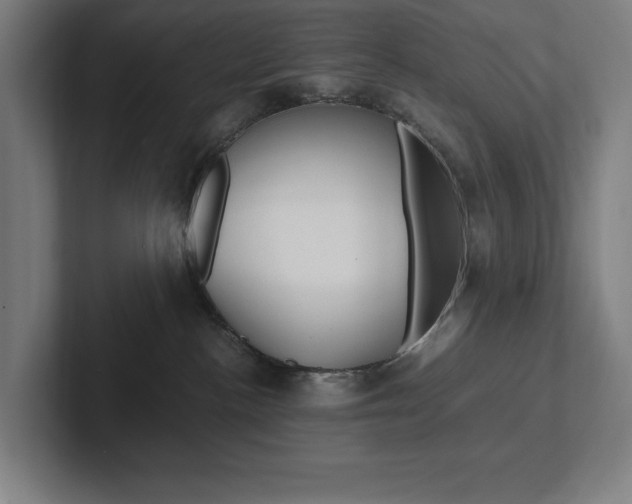 X0000102860188200808181033