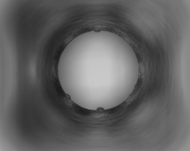 X0000102860189200808181033