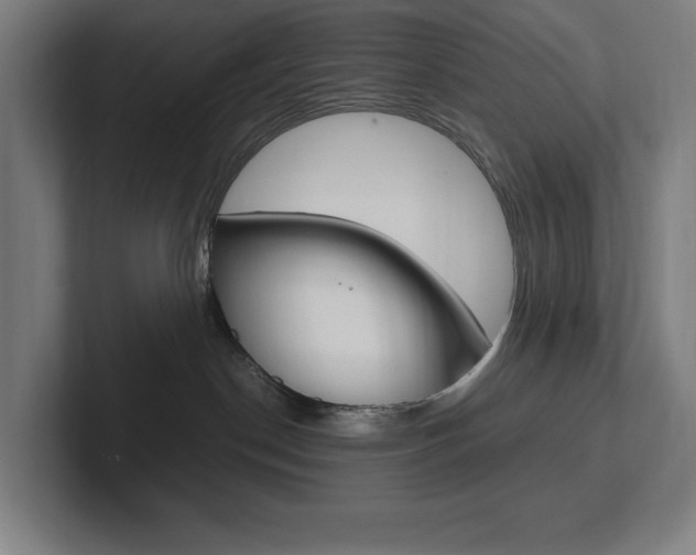 X0000102860190200808181033