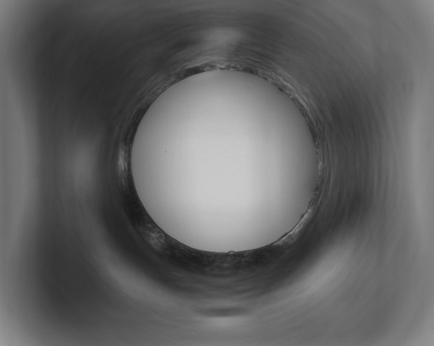 X0000102860191200808181033