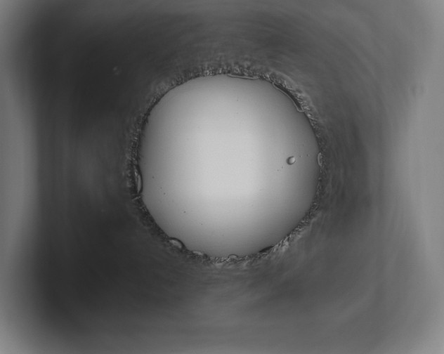 X0000102860192200808181033