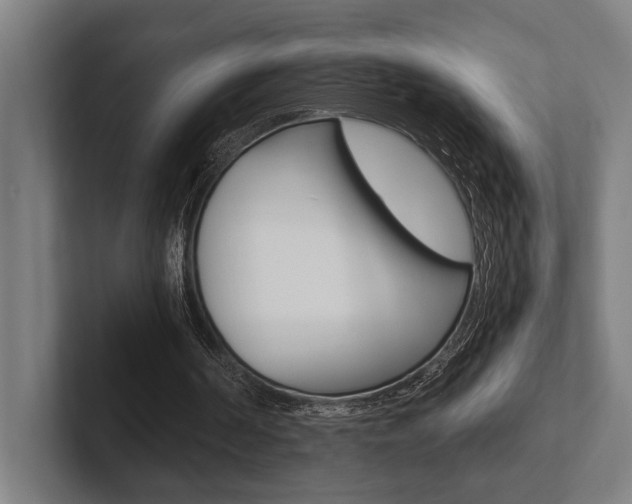 X0000102860194200808181032