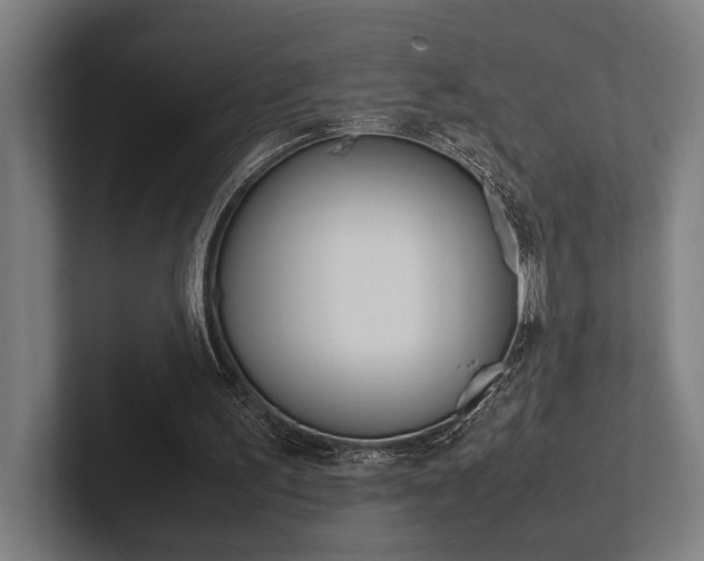 X0000102860195200808181032