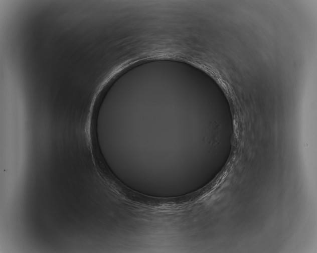 X0000102860196200808181032