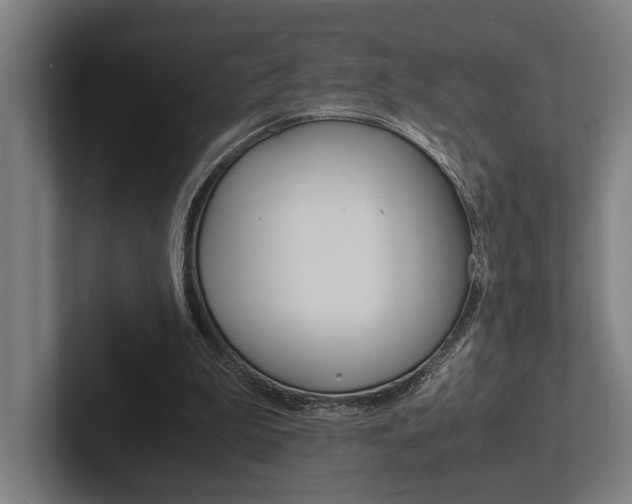 X0000102860199200808181032