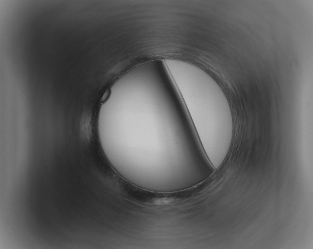 X0000102860216200808181032