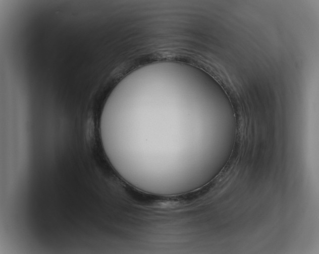 X0000102860220200808181032