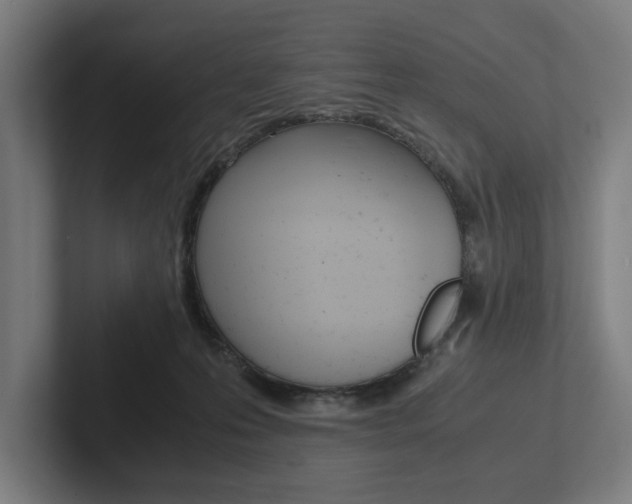 X0000102860223200808181032