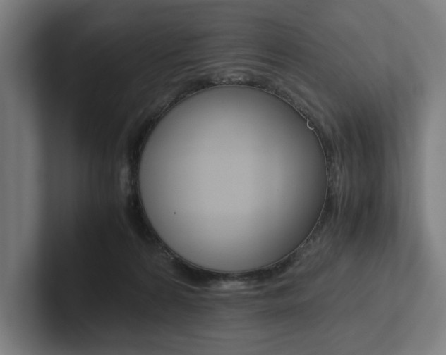 X0000102860224200808181032