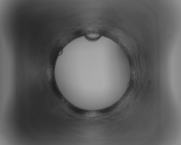 X0000102860231200808181032