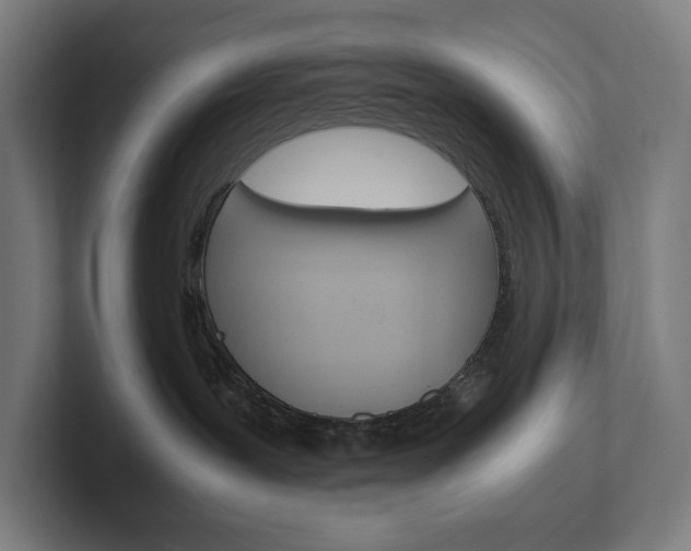 X0000102860239200808181032