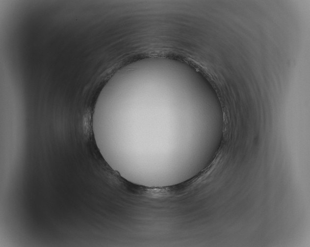 X0000102860240200808181032