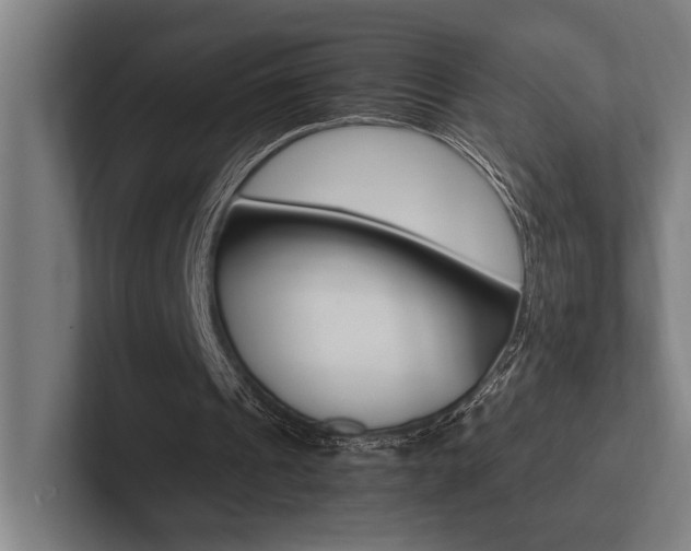 X0000102860241200808181031