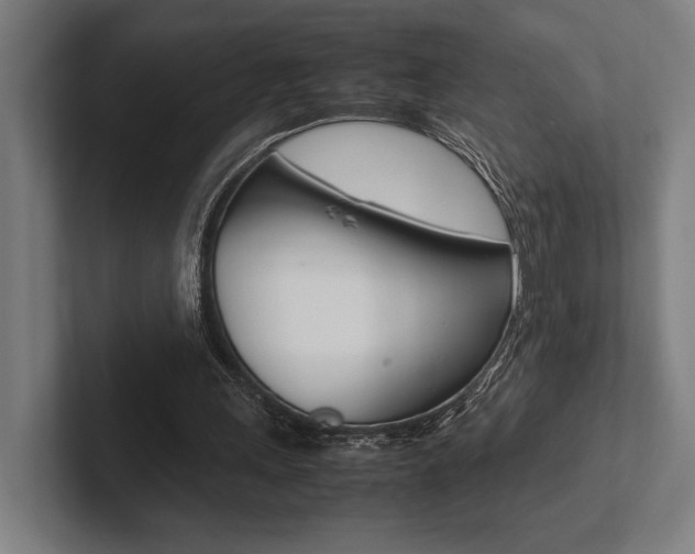 X0000102860243200808181031