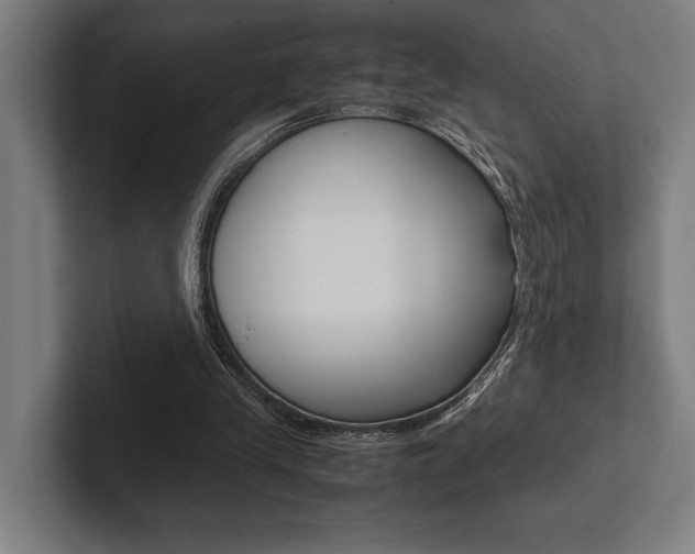 X0000102860245200808181031
