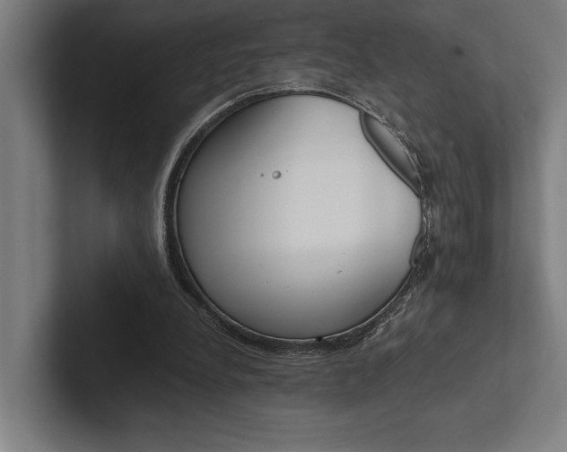 X0000102860248200808181031