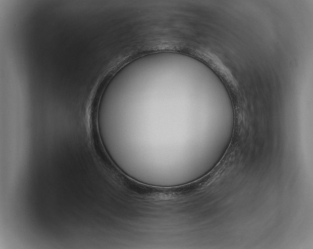 X0000102860250200808181031