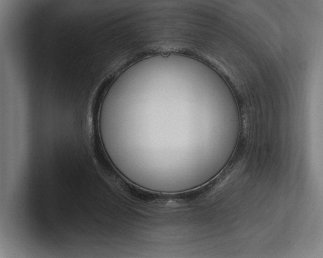 X0000102860254200808181031