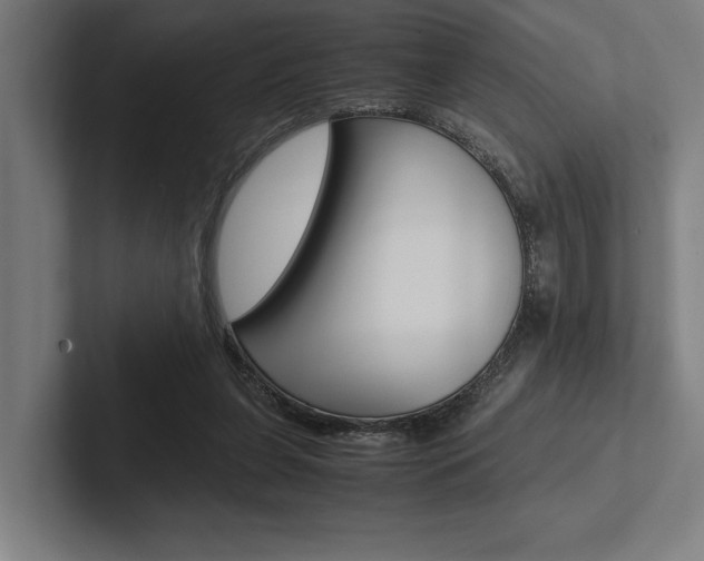 X0000102860255200808181031