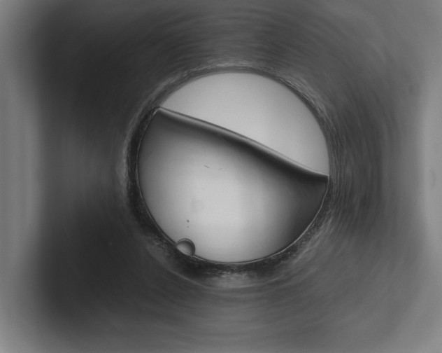 X0000102860256200808181031