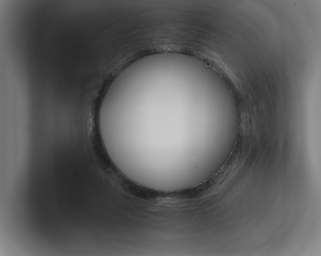 X0000102860259200808181031
