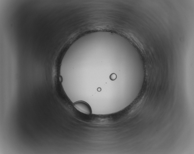 X0000102860260200808181031