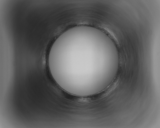 X0000102860261200808181031
