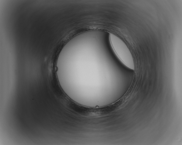 X0000102860263200808181031