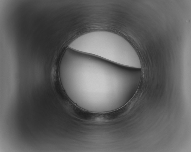 X0000102860264200808181031
