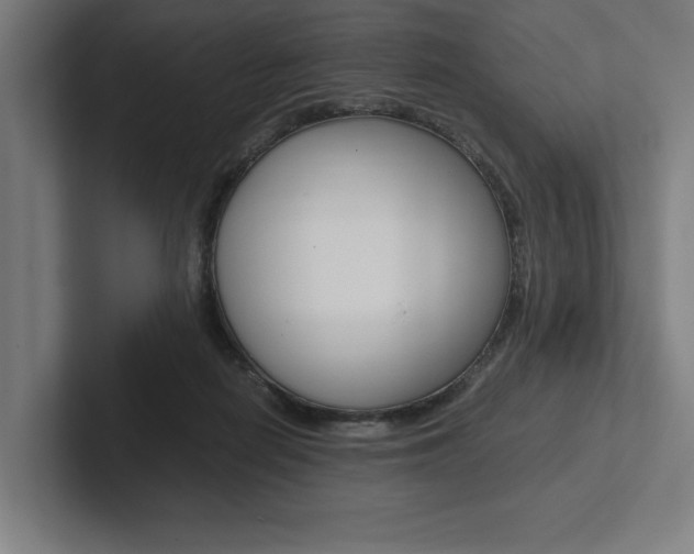X0000102860266200808181031