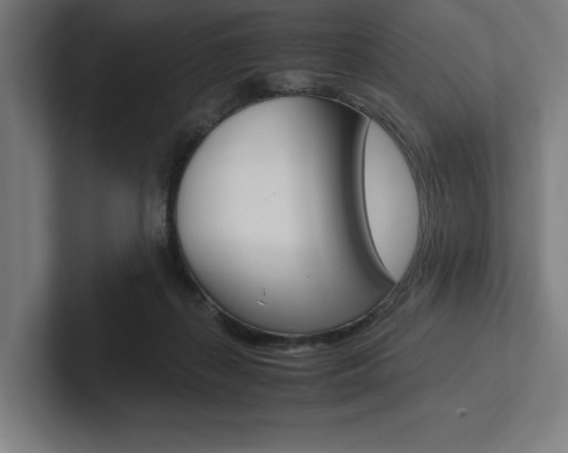 X0000102860267200808181031