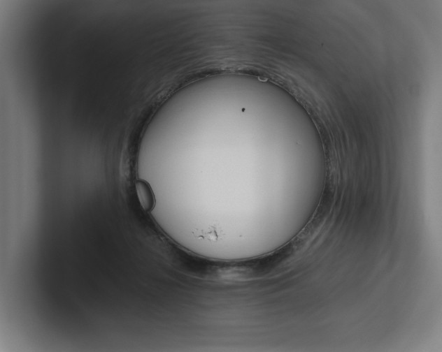 X0000102860268200808181031