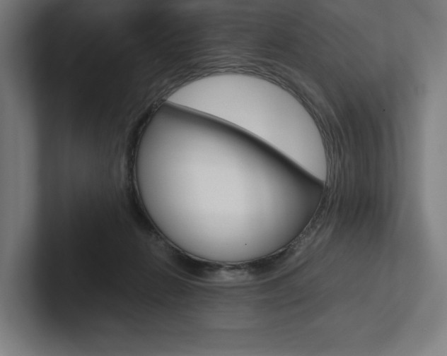X0000102860270200808181031