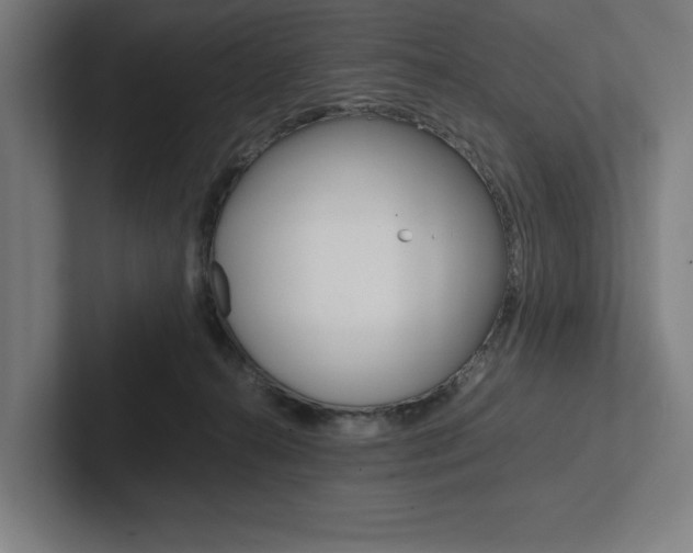 X0000102860272200808181031