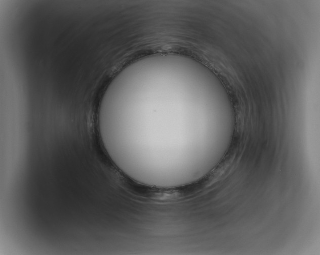 X0000102860274200808181031