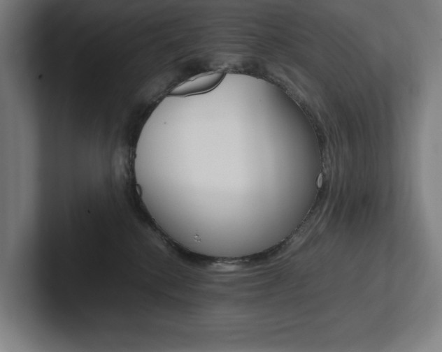 X0000102860280200808181031