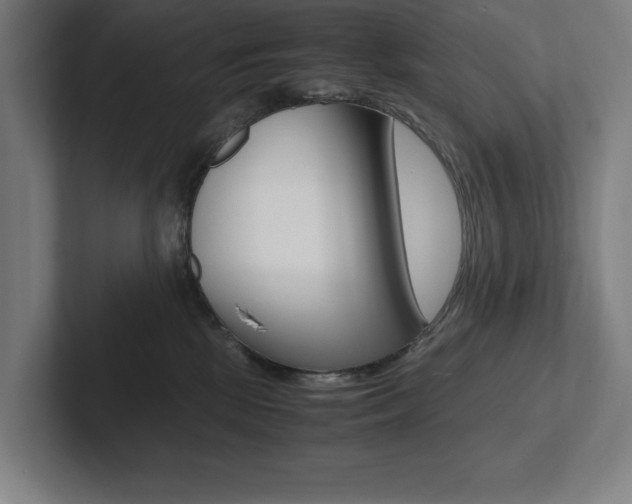 X0000102860281200808181031