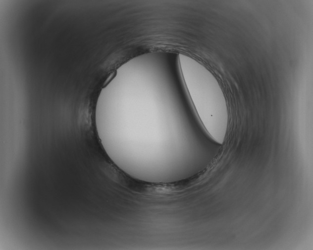 X0000102860282200808181031