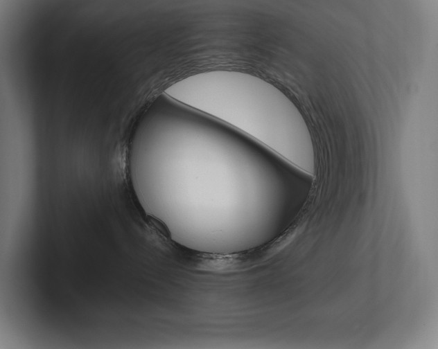 X0000102860288200808181032