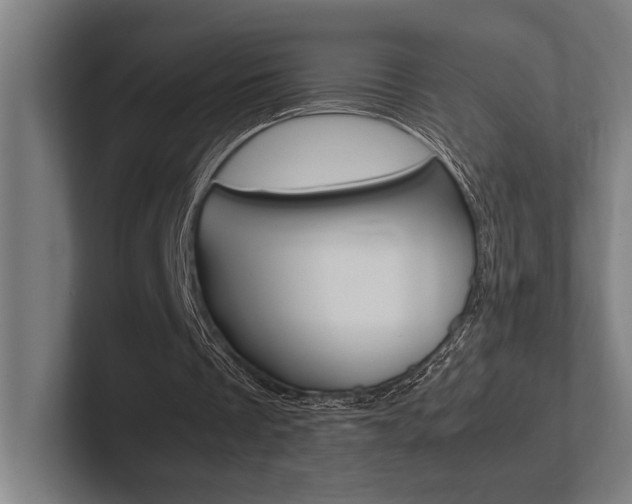 X0000102860289200808181031