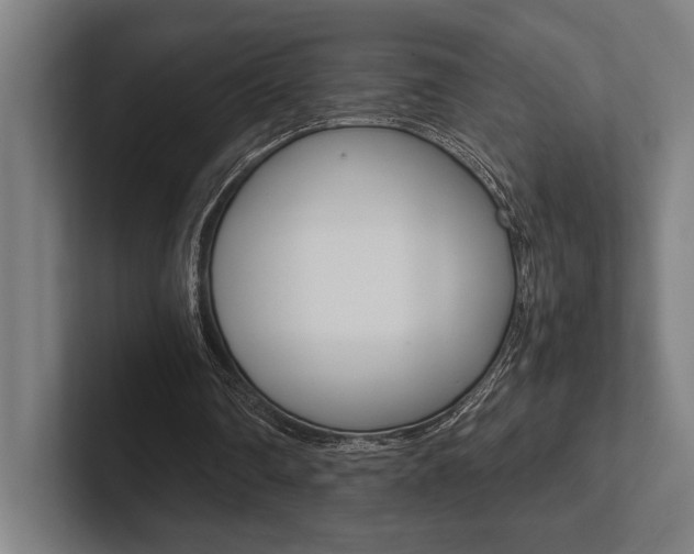 X0000102860290200808181031