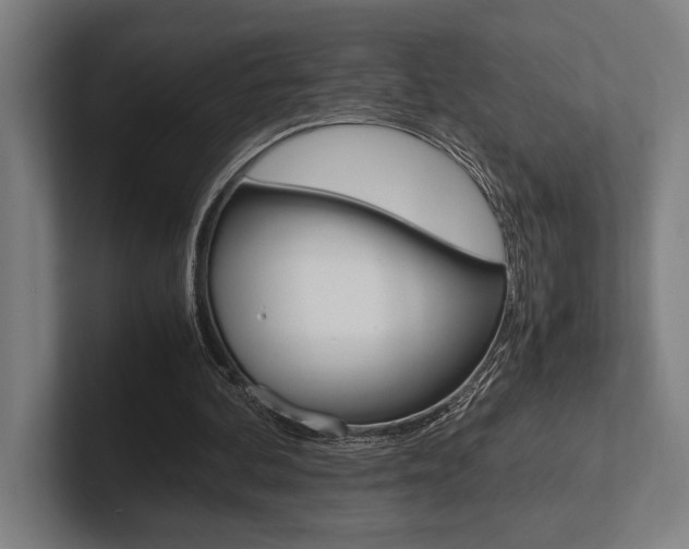 X0000102860292200808181031