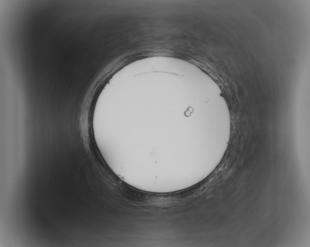 X0000102860293200808181031