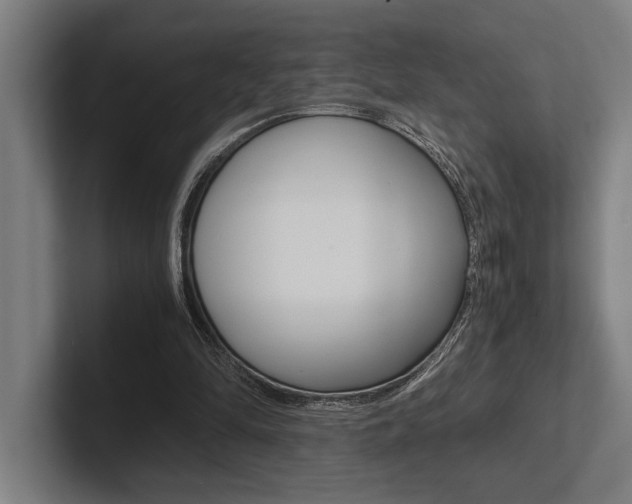 X0000102860294200808181031