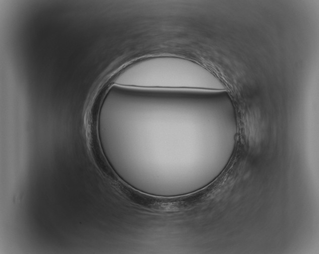 X0000102860295200808181031