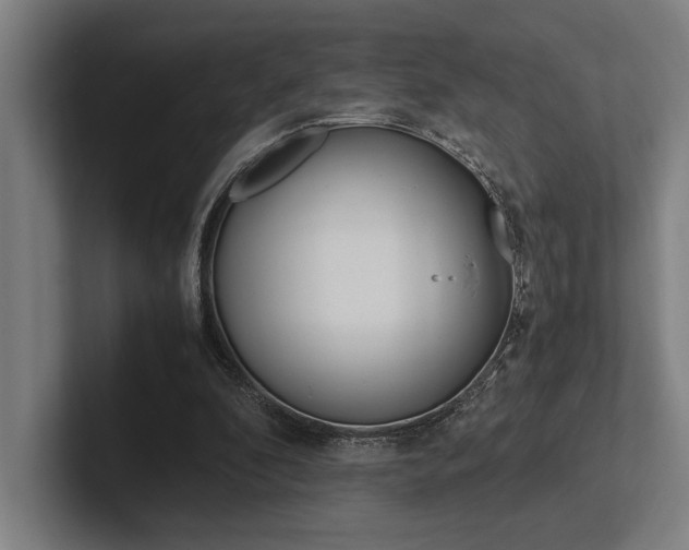 X0000102860296200808181031