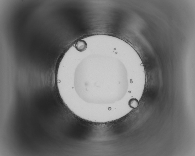 X0000102860301200808181031