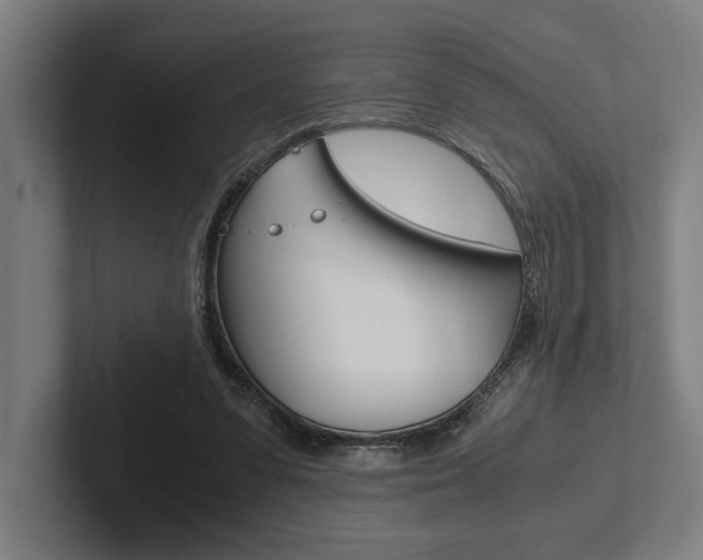 X0000102860303200808181031