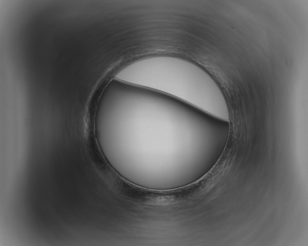 X0000102860304200808181031